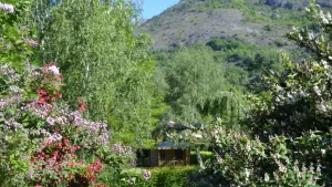 Flower Camping LA BEXANELLE