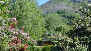 Flower Camping LA BEXANELLE