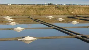L'Etang du Pays Blanc Campsite