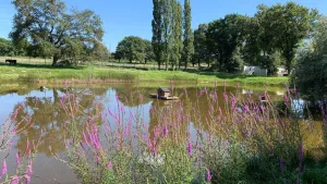 L'Etang du Pays Blanc Campsite