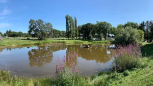 L'Etang du Pays Blanc Campsite