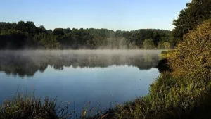 Domaine du Moulin Neuf 