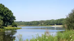 Domaine du Moulin Neuf 
