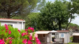 Camping Montana Parc - Coeur de l'Estérel
