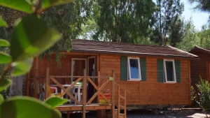 Camping Les Palmiers