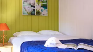 Camping Les Tamaris & Portes du Soleil