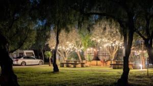 Camping Lilybeo Village 