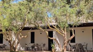 Camping Lilybeo Village 