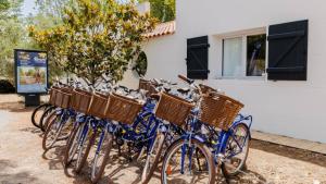 Camping l'Escale du Perthuis