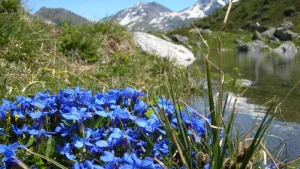 Camping Eden de la Vanoise