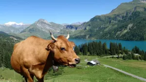 Camping Eden de la Vanoise