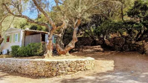 Camping Campo Di Liccia