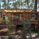 Premium Lodge met jacuzzi voor 4 personen