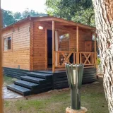 Chalet Bonsai