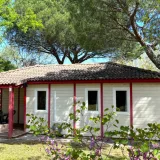 UXMAL STANDARD