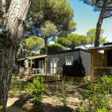 Premium Mobilheim 30m² (2 Schlafzimmer ) + Terrasse + TV + Bettwäsche und Handtücher