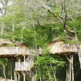Boomhutten (droog toilet, zonder douche)
