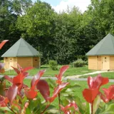 Wooden ISBA Yurt