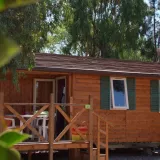 GEORGIA ECO