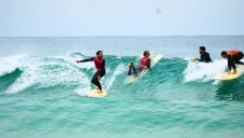 SURFING LESSONS