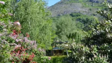 Flower Camping LA BEXANELLE
