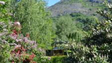 Flower Camping LA BEXANELLE